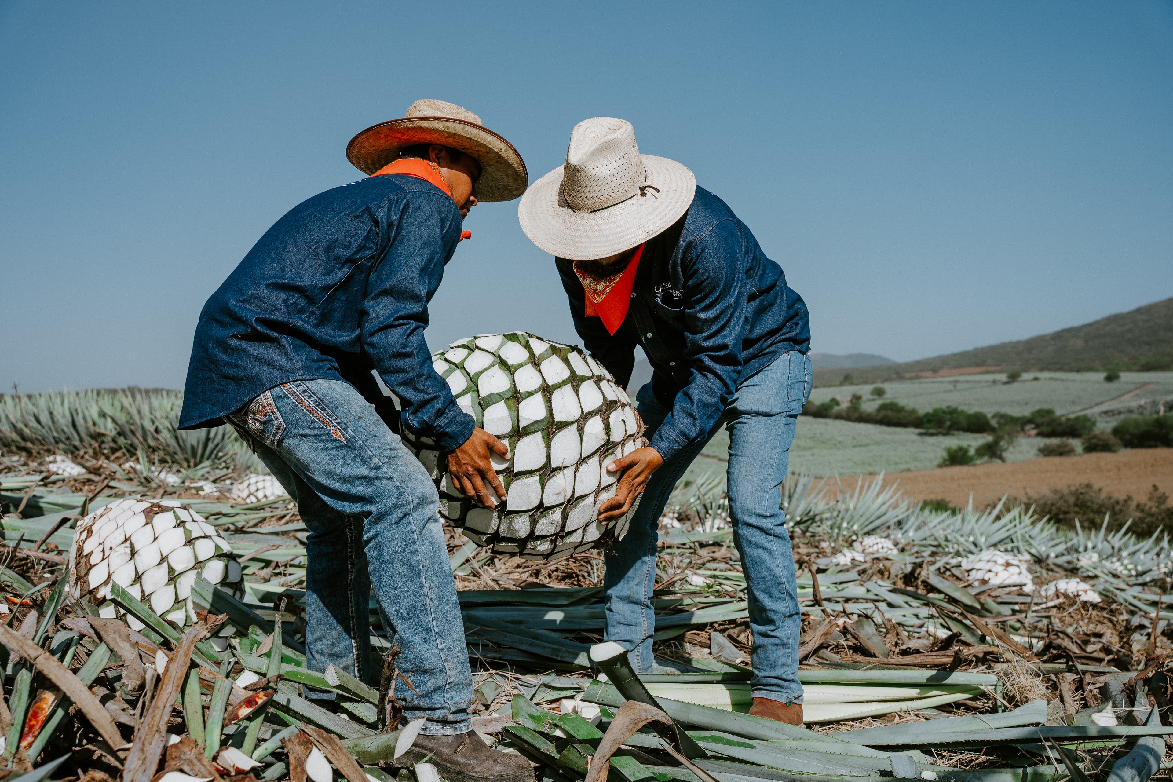 El Alma del Tequila