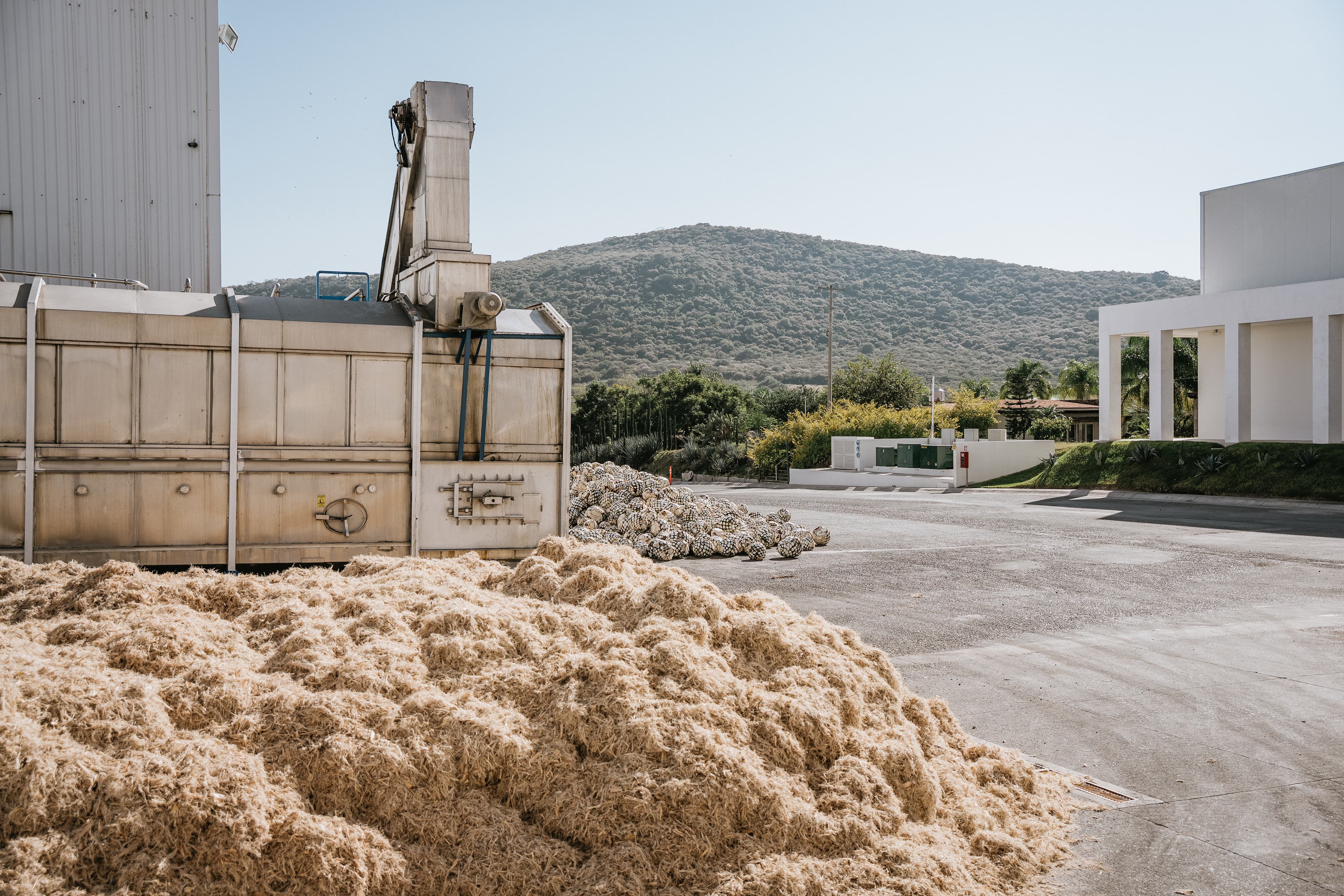 Cocimiento y Molienda