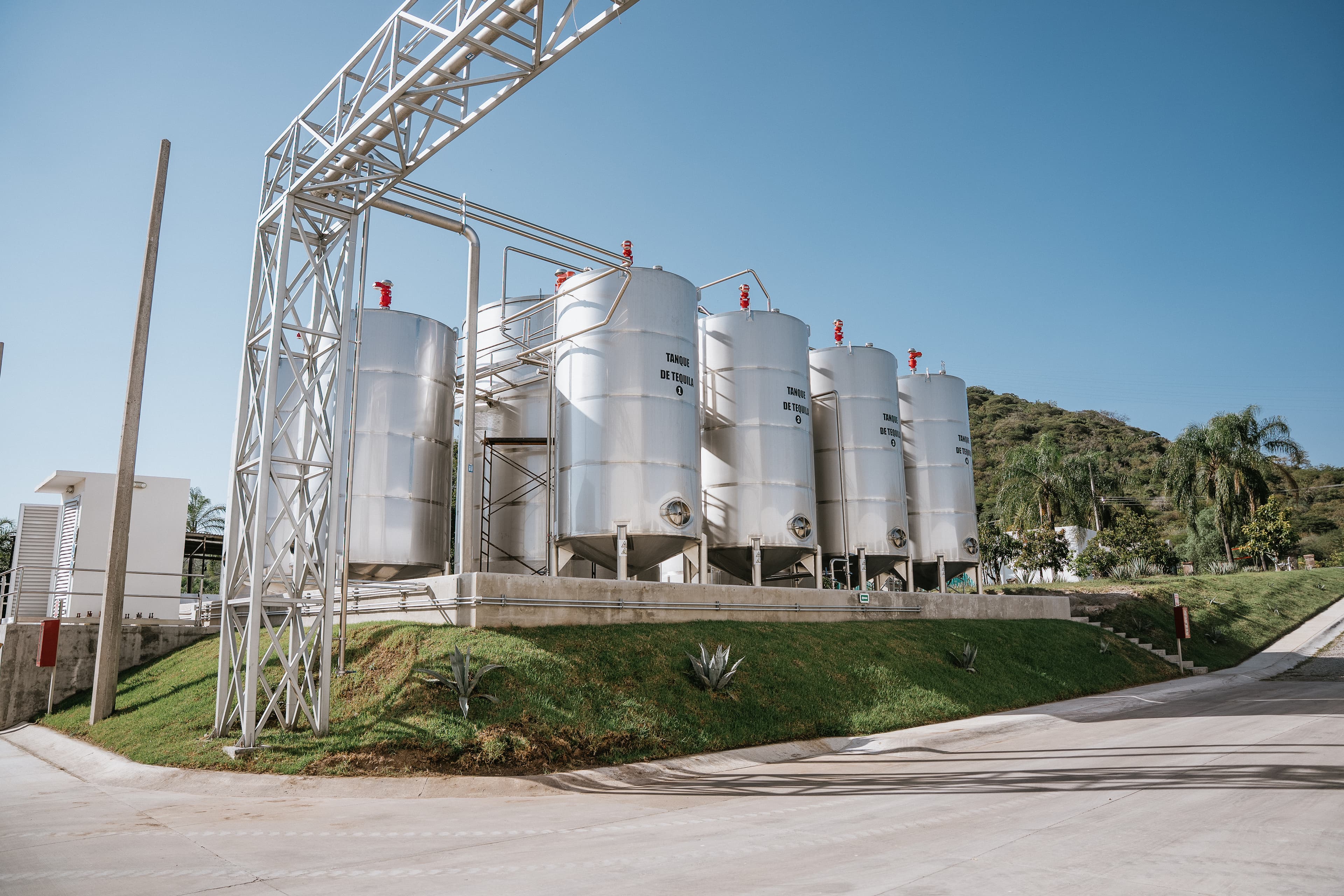 Servicios de producción tequilera