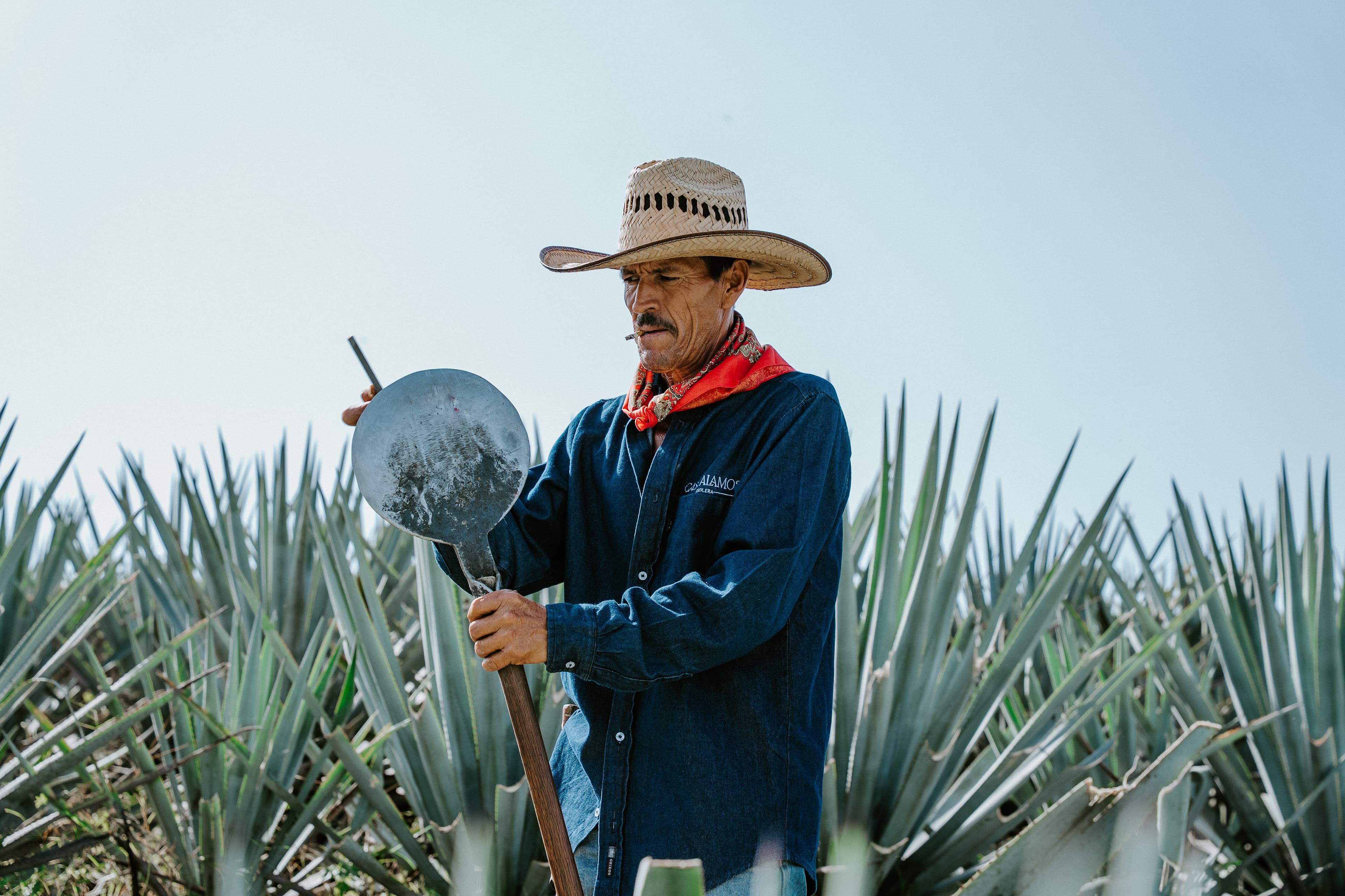 Sustentabilidad en Casa Álamos